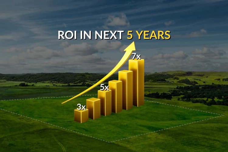 Ideal for long-term Dholera plot investment