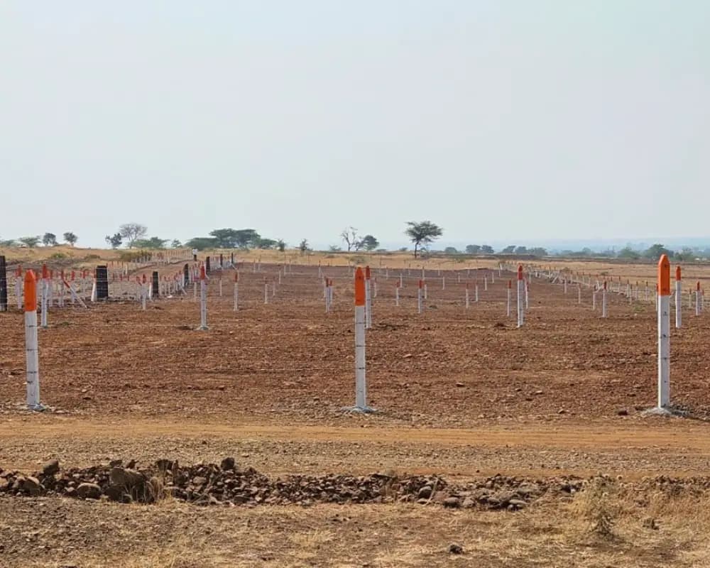Maple residential plots in Dholera Gujarat